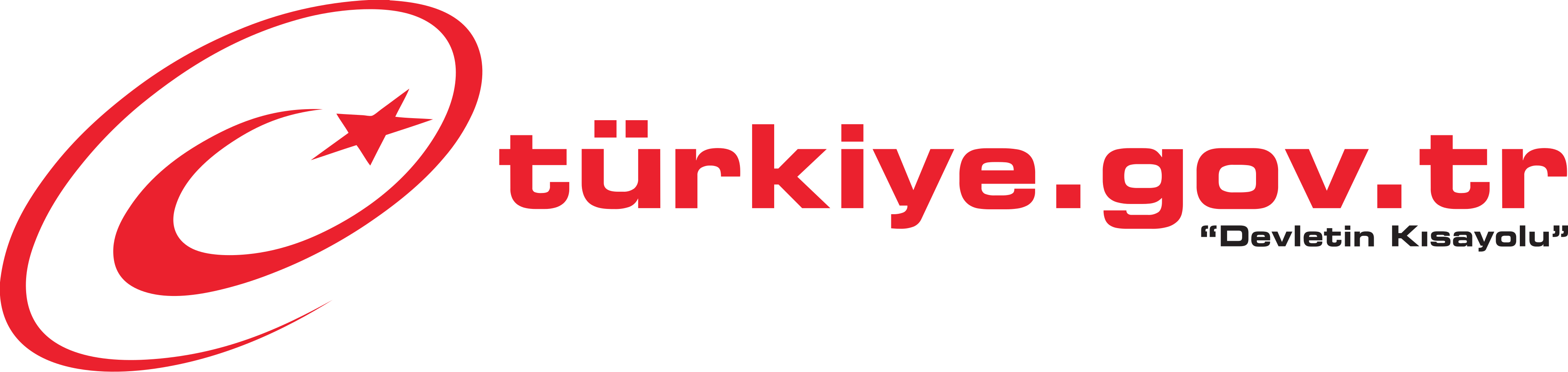 Türkiye.gov.tr Logo